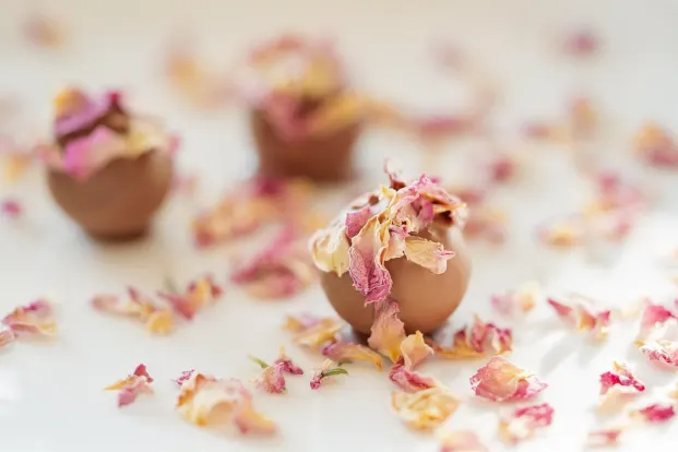 קריסטל קזינו אפליקציית Android/iOS