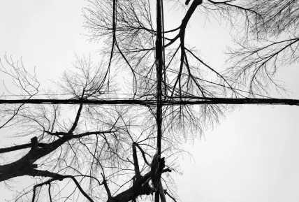 קריסטל קזינו אפליקציה לנייד